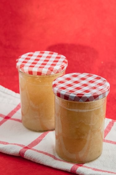 Is Applesauce Safe for Dogs? A Pet Owner’s Guide