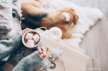 Are Marshmallows Safe for Dogs? A Guide to Pet-Friendly Treats