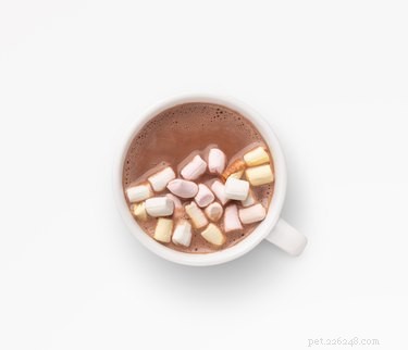 Are Marshmallows Safe for Dogs? A Guide to Pet-Friendly Treats