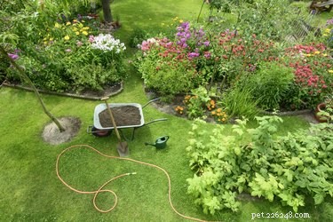 Immediate Steps to Take If Your Dog Ingests Fertilizer