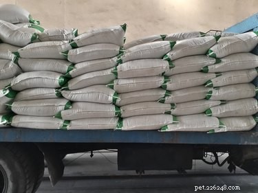 Immediate Steps to Take If Your Dog Ingests Fertilizer