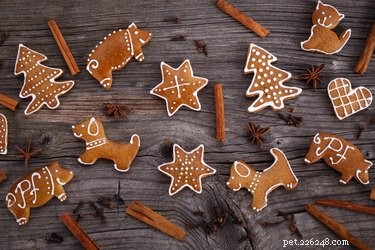 Can Dogs Safely Enjoy Gingerbread? Expert Tips