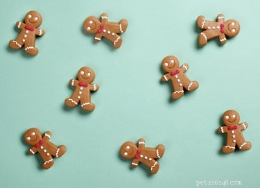 Can Dogs Safely Enjoy Gingerbread? Expert Tips