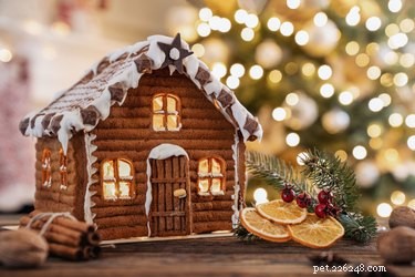 Can Dogs Safely Enjoy Gingerbread? Expert Tips