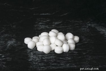 Are Mothballs Dangerous for Cats and Dogs? Understand the Risks