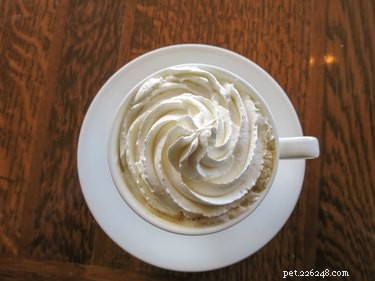 Is Whipped Cream Safe for Dogs? A Practical, Pet-Friendly Guide