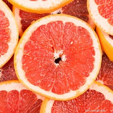 Can Dogs Safely Eat Grapefruit? Expert Tips & Safety Guide