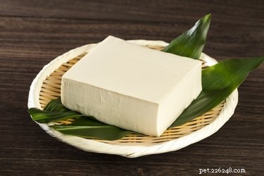 Is Tofu Safe for Dogs? Expert Guide on Benefits, Risks, and Feeding Tips