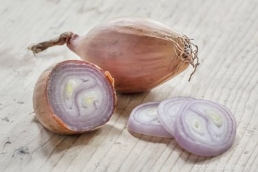 Are Shallots Safe for Dogs? Expert Guidance & Tips