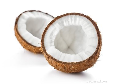 Are Coconuts Safe for Dogs? Health Tips & Facts