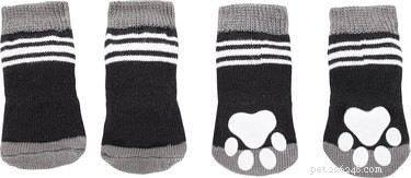 Protect Your Dog’s Paws Without Booties: Proven Alternatives for Any Weather