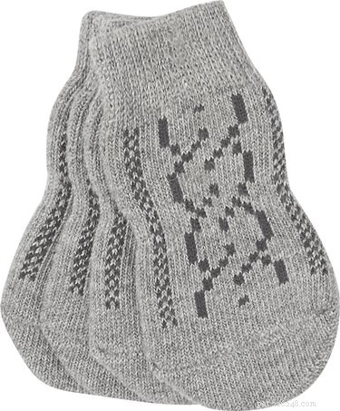 Protect Your Dog’s Paws Without Booties: Proven Alternatives for Any Weather