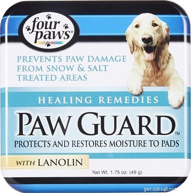 Protect Your Dog’s Paws Without Booties: Proven Alternatives for Any Weather