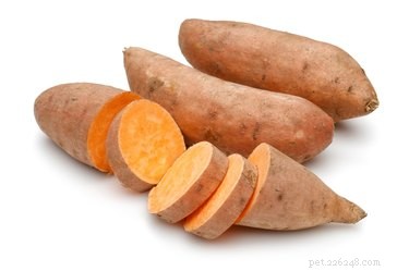 Are Yams Safe for Dogs? A Complete Guide to Feeding Yams to Your Canine Companion