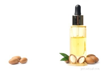 Is Argan Oil Safe for Your Dog’s Skin? Expert Tips & Benefits