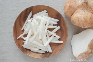 Is Jicama Safe for Dogs? A Comprehensive Guide