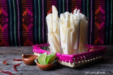 Is Jicama Safe for Dogs? A Comprehensive Guide