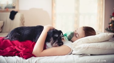 New Study Shows Therapy Dogs Significantly Reduce Anxiety for ER Patients