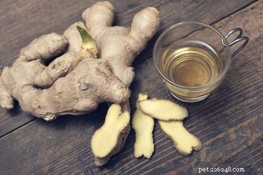 Is Ginger Safe and Beneficial for Dogs?