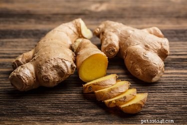 Is Ginger Safe and Beneficial for Dogs?