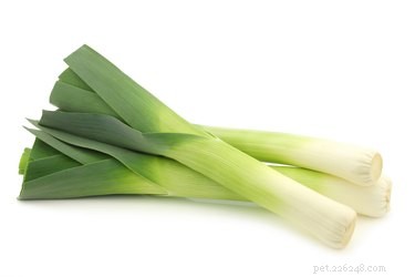 Are Leeks Safe for Dogs? A Comprehensive Guide to Feeding Your Furry Friend