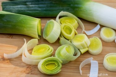 Are Leeks Safe for Dogs? A Comprehensive Guide to Feeding Your Furry Friend