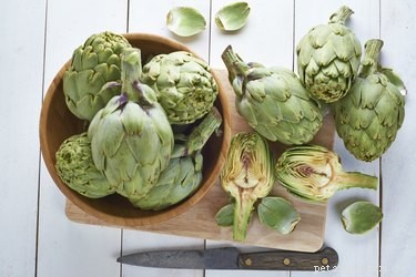 Can Dogs Safely Eat Artichokes? Expert Guide on Feeding This Ancient Veggie