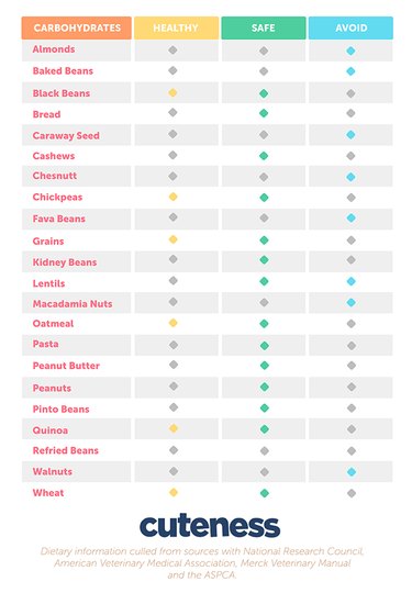 Dog Food Safety: Foods That Are Safe and Those That Are Harmful