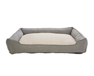 Do Dogs Really Need Their Own Bed? Expert Advice & Tips