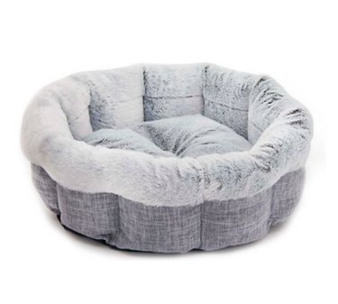 Do Dogs Really Need Their Own Bed? Expert Advice & Tips