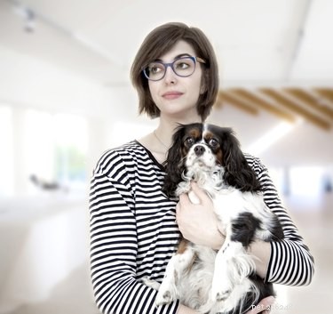 Can Dogs Truly Read Our Minds? Discover the Science Behind Their Intuition