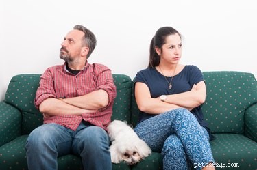 Navigating a Previous Owner’s Claim for Their Dog: What to Do