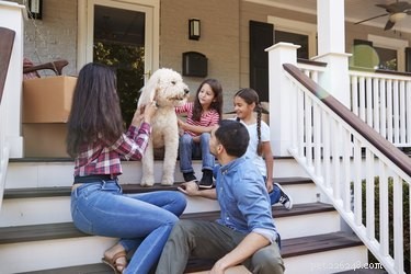 Navigating a Previous Owner’s Claim for Their Dog: What to Do