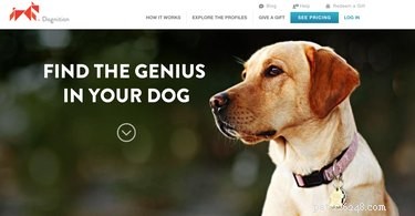 17 Proven Mental Training Exercises to Keep Your Dog Sharp and Happy