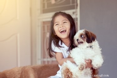 Why Dogs Love to Cuddle: The Science Behind the Snuggle