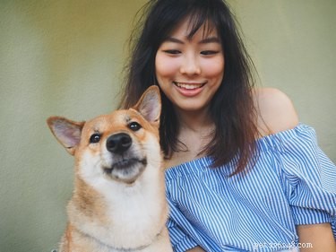 Where Dogs Love to Be Petted: A Guide to Proper Dog Petting