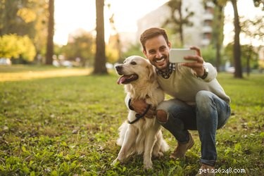 Can Dogs Truly See Phone Screens? What They Actually Notice