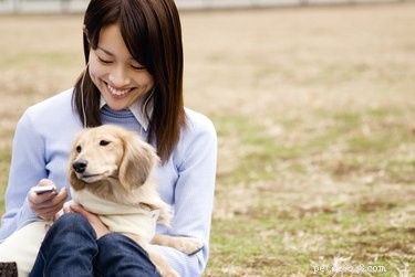 Do Dogs Detect Pregnancy Before Their Owners Do?