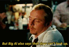 Do Dogs Really Look Up? A Clear Explanation
