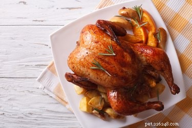 Is Chicken Safe for Dogs? A Guide to Feeding Your Canine the Right Way