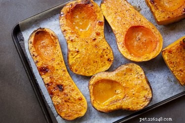 Can Dogs Safely Eat Squash? A Guide to Adding Seasonal Veg to Their Diet