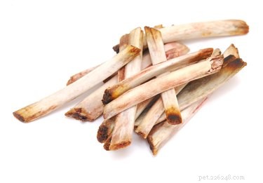 Are Rib Bones Safe for Dogs? Know the Risks Before Feeding