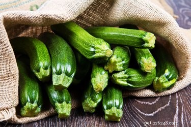 Can Dogs Safely Eat Zucchini? Benefits, Tips, and How Much to Serve