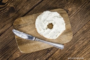 Is Cream Cheese Safe for Dogs? Expert Tips and Alternatives