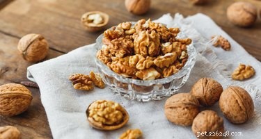 Are Walnuts Safe for Dogs? Risks and Alternatives
