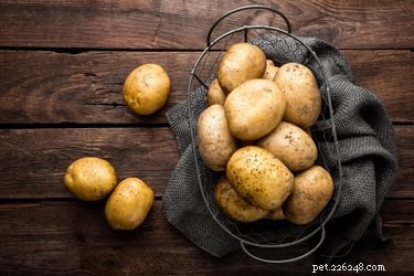 Can Dogs Safely Eat Potatoes? Health Tips & Preparation Guide