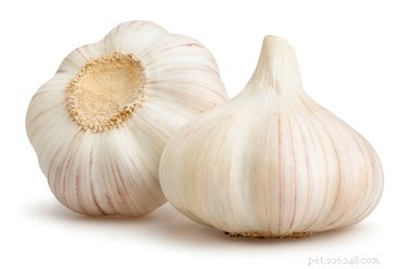 Is Garlic Safe for Dogs? Expert Insights on Toxicity and Alternatives