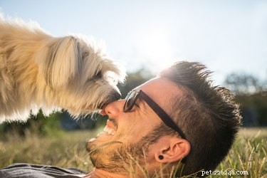 How Smiling Boosts Your Dog’s Love and Strengthens Your Bond