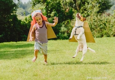 Growing Up with a Dog Can Reduce Your Child’s Allergy and Asthma Risks