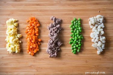 Are Premium Kibble Brands Truly Healthy for Dogs?